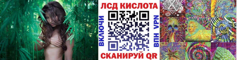 цены наркотик  Починок  Марки NBOMe 1500мкг 
