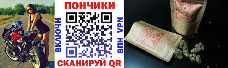 купить наркотики сайты  Починок  Бошки Шишки OG Kush 